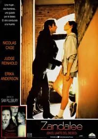 《色欲野玫瑰》：情欲与命运的交织，一部挑战感官与道德边界的禁忌之作