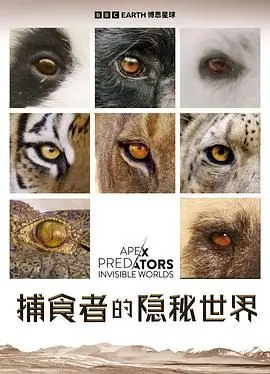 《捕食者的隐秘世界》：深入‘探索’丛林腹地，感受生命最原始的野性！